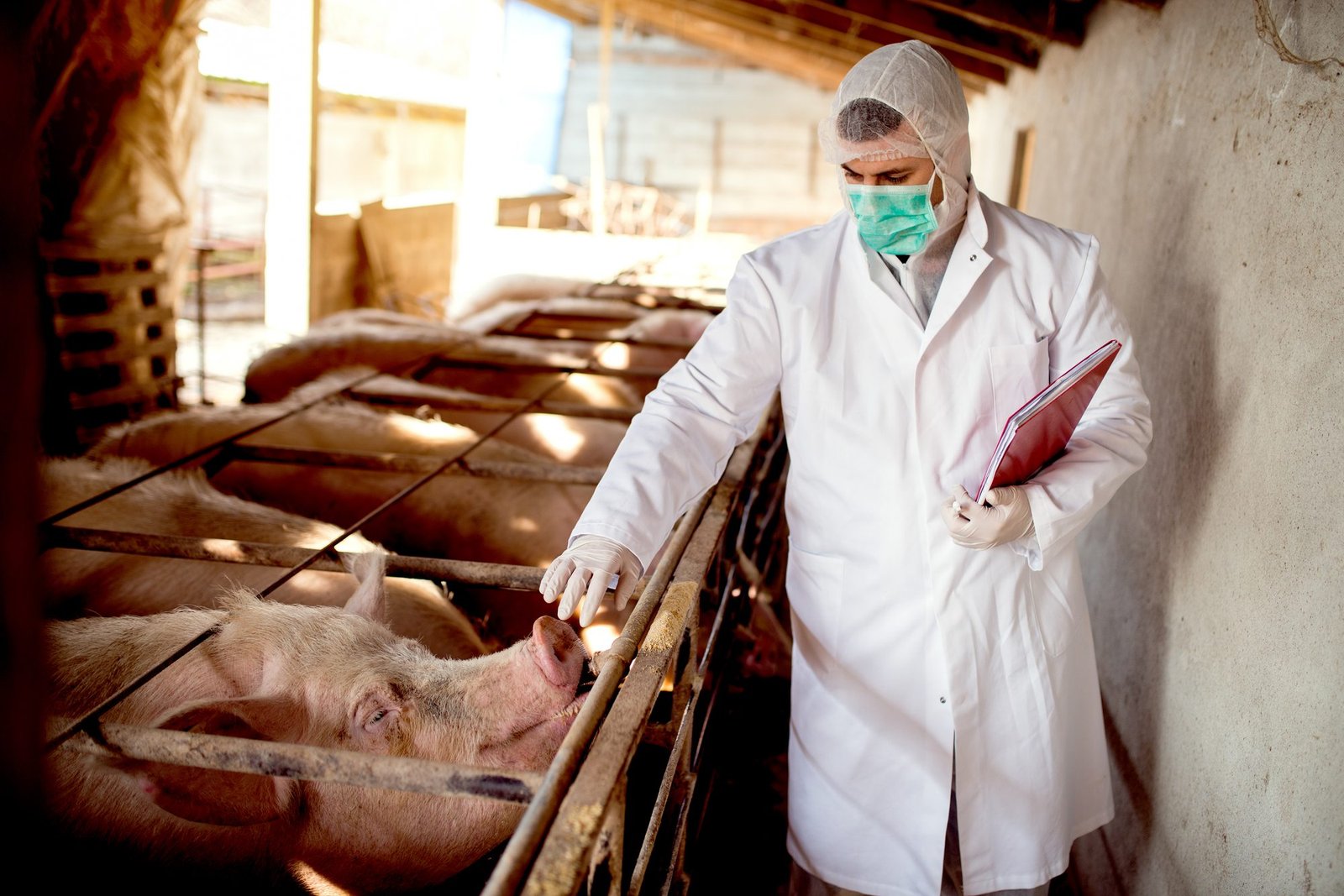 Animal Probiotics