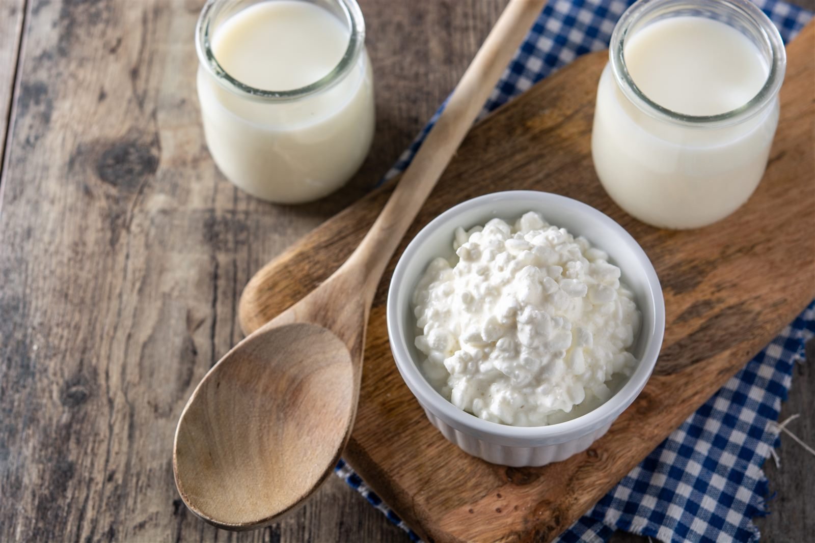 Human Probiotics