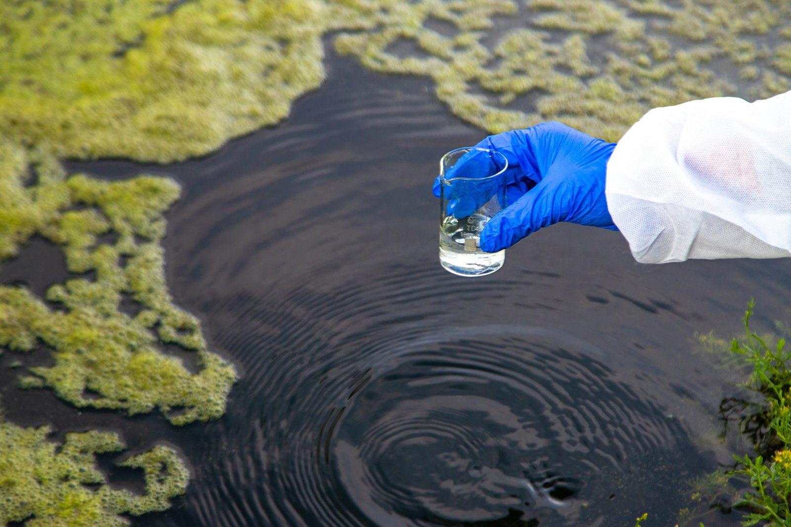 Sewage Treatment